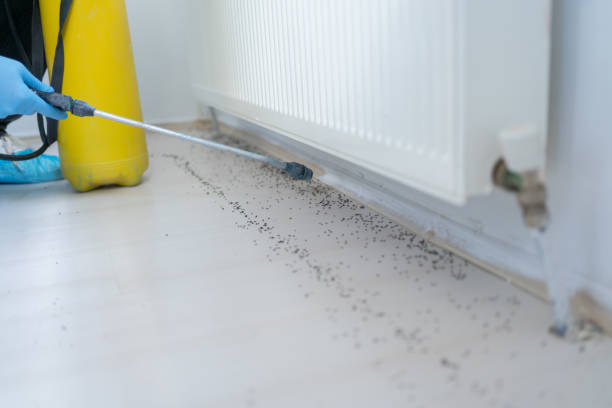 Best Rat Extermination Near Me  in Pendleton, SC