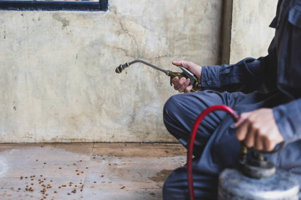 Best Flea Control Services  in Pendleton, SC