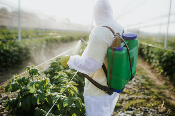 Pendleton, SC Pest Control Pros